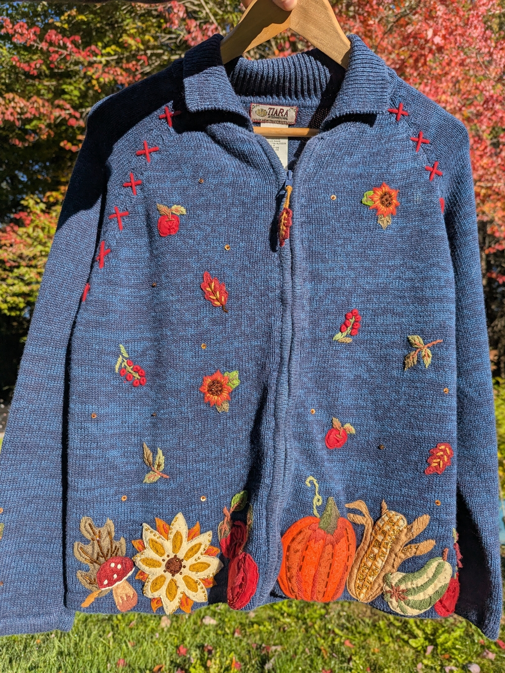 Blue Embroidered Pumpkin & Sunflower Zip-Up Jacket